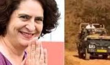 प्रियंका गांधी ने रणथंभोर में की टाइगर सफारी 