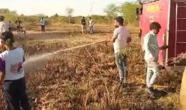 बीहड़ में आग लगी, वन्यजीवों को नुकसान की संभावना