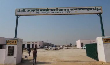 सरदारशहर के सावर की जेबी मंडी में होगी मूंगफली की खरीद जल्द शुरू