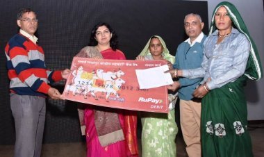 किसानों को सौगात: मुख्यमंत्री ने 700 करोड़ रुपये डीबीटी के माध्यम से किए हस्तांतरित