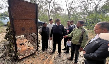 आखिर जागे मंत्री जी: 24 घण्टे मॉनिटरिंग रखकर यथाशीघ्र पैंथर को रेस्क्यू करें - मंत्री शर्मा