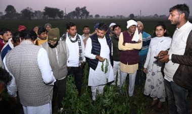 नेता प्रतिपक्ष टीकाराम जूली ने ओलावृष्टि से प्रभावित किसानों के लिए मुआवजे की मांग की