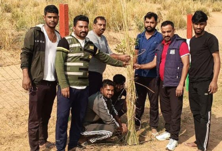 खेलता बढ़ता स्टेडियम में पौधों के पुले बांधकर सर्दी से बचाने का प्रयास