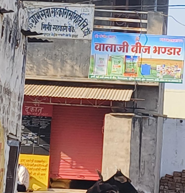 टाई सोसायटी के ताला, किसानों का नहीं हो रहा ऋण नवीनीकरण