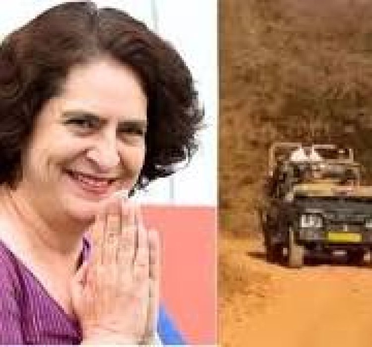 प्रियंका गांधी ने रणथंभोर में की टाइगर सफारी
