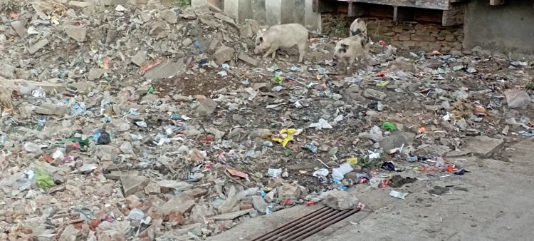 मांडलगढ़ में सफाई व्यवस्था चरमराई, जालेश्वर तालाब और सड़कें गंदगी से अटीं