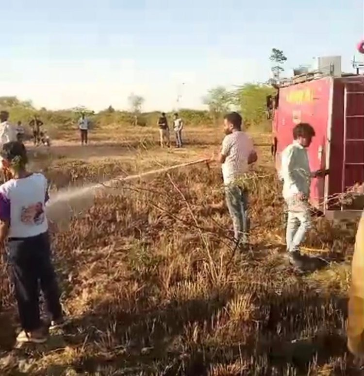 बीहड़ में आग लगी, वन्यजीवों को नुकसान की संभावना
