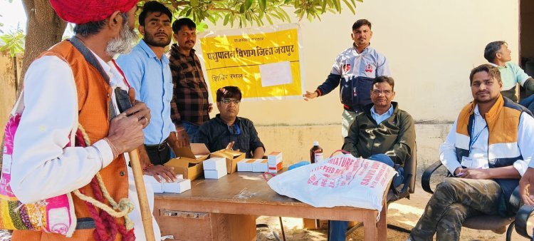 ऊष्ट्र रोग निदान शिविर का आयोजन, संयुक्त निदेशक ने व्यवस्थाओं पर जताया संतोष  