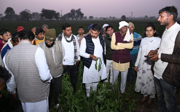 नेता प्रतिपक्ष टीकाराम जूली ने ओलावृष्टि से प्रभावित किसानों के लिए मुआवजे की मांग की