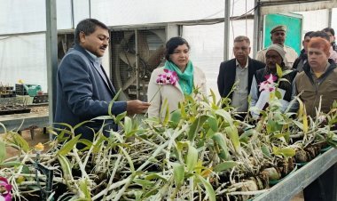 जिला कलक्टर ने फूल उत्कृष्टता केंद्र का निरीक्षण, खेती को व्यावसायिक स्तर पर बढ़ाने के दिए सुझाव 
