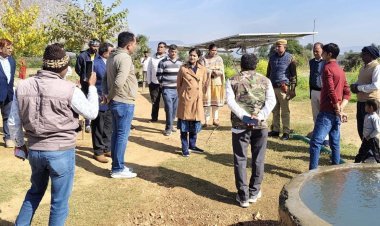 थानागाजी में जिला कलेक्टर ने किया निरीक्षण, जनसुनवाई में सुनीं समस्याएं 