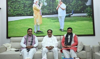 शेखावाटी में यमुना जल लाने की दिशा में बड़ा कदम, डीपीआर के लिए संयुक्त टास्क फोर्स पर सहमति 