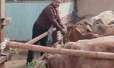 दान पुण्य कर मनाया मकर संक्रांति पर्व 