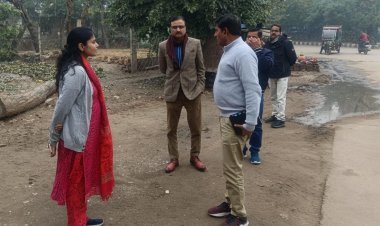 जिला कलक्टर ने शहर का दौरा कर साफ-सफाई व्यवस्था का लिया जायजा