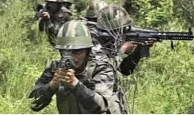 सुरक्षा बलों और नक्सलियों के बीच मुठभेड़, 12 नक्सली मार गिराए 