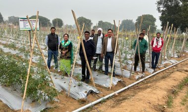 लुपिन फाउंडेशन: दस हजार किसानों को उन्नत खेती का प्रशिक्षण, आय वृद्धि पर जोर 