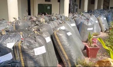 डोडापोस्त की बड़ी खेप बरामद: ट्रक में खाद के बीच छुपाकर ले जाया जा रहा 97 बैग जब्त 