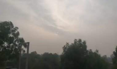 राजस्थान में बारिश और कोहरे का अलर्ट: 8 जिलों में हल्की बारिश की संभावना, 24 जनवरी से सर्द हवाएं चलेंगी  