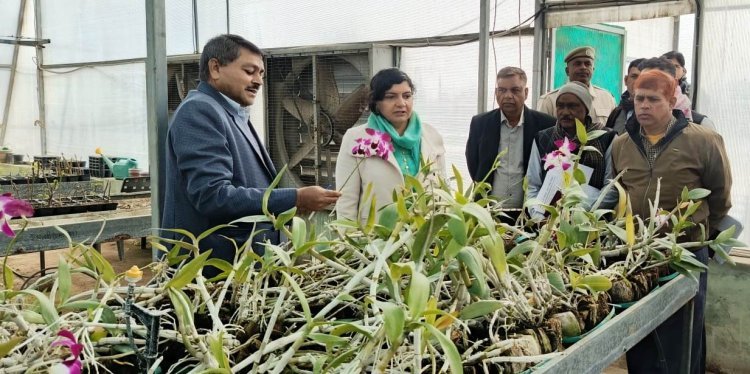 जिला कलक्टर ने फूल उत्कृष्टता केंद्र का निरीक्षण, खेती को व्यावसायिक स्तर पर बढ़ाने के दिए सुझाव
