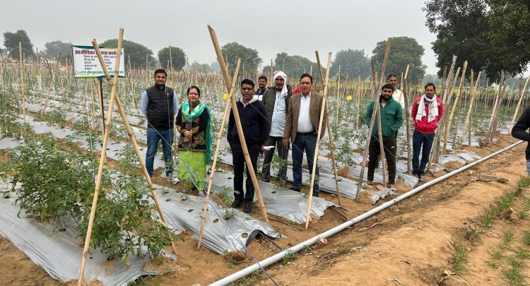 लुपिन फाउंडेशन: दस हजार किसानों को उन्नत खेती का प्रशिक्षण, आय वृद्धि पर जोर