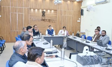 कलक्टर ने पंच गौरव के प्रोत्साहन व संवर्धन के लिए प्रभावी कार्ययोजना बनाने के दिए निर्देश