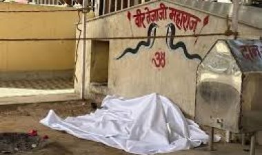 कैफे संचालक ने तोड़ी थी मूर्ति, गिरफ्तार 