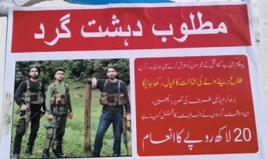 पहेलगाम आतंकी हमले में शामिल तीन पाकिस्तानी आतंकियों के पोस्टर जारी, सूचना देने पर ₹20 लाख का इनाम; सांबा-पठानकोट में ड्रोन मार गिराए, DGMO स्तर पर भारत-पाक के बीच बातचीत