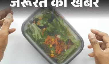 गर्मी में टिफिन फ्रेश रखने के 10 स्मार्ट टिप्स: जानिए 5 नेचुरल प्रिजर्वेटिव्स और खाना पैकिंग की जरूरी सावधानियां