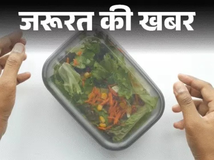 गर्मी में टिफिन फ्रेश रखने के 10 स्मार्ट टिप्स: जानिए 5 नेचुरल प्रिजर्वेटिव्स और खाना पैकिंग की जरूरी सावधानियां