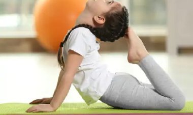 राजस्थान के हर स्कूल में बनेंगे योग एंबेसडर: शिक्षा विभाग जोड़ेगा 65 हजार स्टूडेंट्स, सालभर करेंगे छात्रों-शिक्षकों को योग प्रशिक्षित, मोहल्लों और गांवों तक पहुंचेगा संदेश