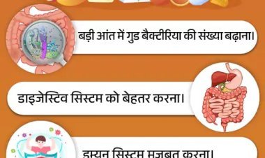 पेट के अंदर बसते हैं अरबों 'गुड बैक्टीरिया': जानिए प्रोबायोटिक फूड्स क्यों हैं जरूरी, कैसे बनाए रखें माइक्रोबायोम का संतुलन