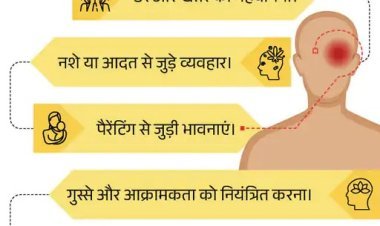 भावनाओं पर काबू क्यों जरूरी? समझें एमिग्डला हाइजैक और इससे बचने के आसान उपाय