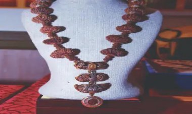 जयपुर में दुर्लभ रुद्राक्ष की प्रदर्शनी: 3.60 करोड़ की इंद्रमाला आकर्षण का केंद्र, एकमुखी की कीमत सवा दो करोड़