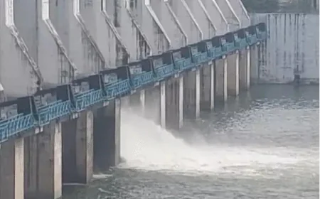 राजस्थान में 7 अगस्त से फिर बरसेगा मानसून: उमस से राहत के आसार, पार्वती बांध के 4 गेट खोले, 5 जिलों में येलो अलर्ट जारी