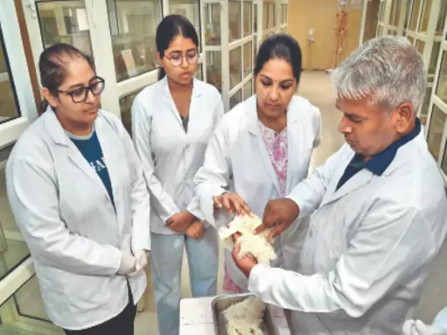 राष्ट्रीय आयुर्वेद संस्थान बना देश का पहला प्लास्टिनेशन तकनीक केंद्र: अब छात्र बिना चीरफाड़ के समझ सकेंगे शरीर की संरचना