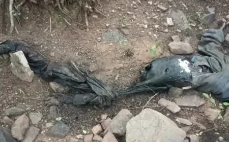 जयपुर के नींदड़ जंगल में मिला नर-कंकाल