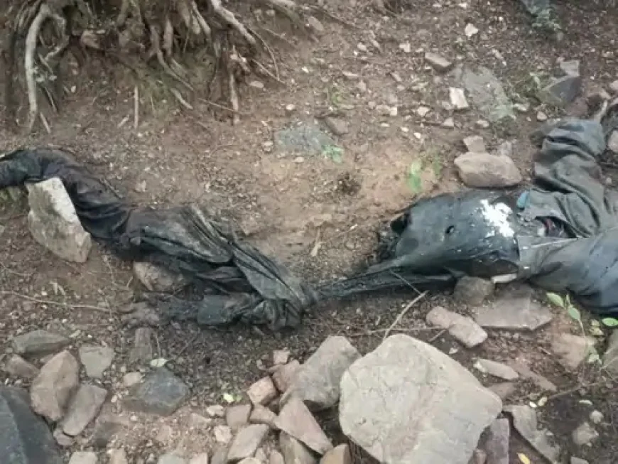 जयपुर के नींदड़ जंगल में मिला नर-कंकाल