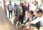 गौ सेवा एवं पूजन कार्यक्रम किया आयोजित