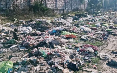 जयपुर-भीलवाड़ा हाईवे पर कचरा संकटः पंचायत ने फेंका कचरा, जिम्मेदार बेखबर   हाईवे को पर बनाया कचरा पात्र