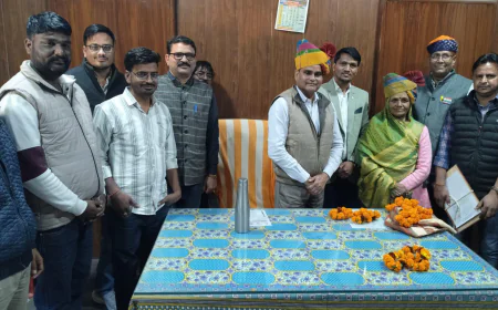 उपखंड अधिकारी बने पंचायत समिति प्रशासक