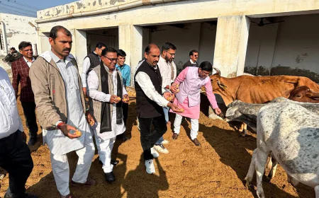 गौसेवा कर मुख्यमंत्री भजनलाल शर्मा का जन्मदिन मनाया,  प्रदेश मुखिया की दीर्घायु की कामना
