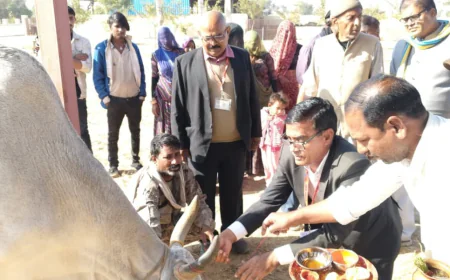 गौ सेवा एवं पूजन कार्यक्रम किया आयोजित