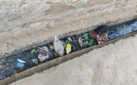 नगरपालिका की दिख रही लापरवाही नवलगढ़ में वार्ड की सफाई को लेकर दिखी खानापूर्ति 