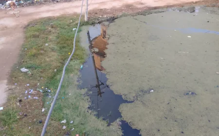 सरकारी दावों के बीच धौलपुर की जमीनी हकीकत बेपर्दा, रीको कॉलोनी में दो साल से सीवर ओवरफ्लो