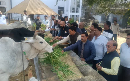 गौ सेवा एक महान एवं पुण्य कार्य है  जो हमारी भारतीय संस्कृति  परंपरा और आस्था का अभिन्न अंग है 