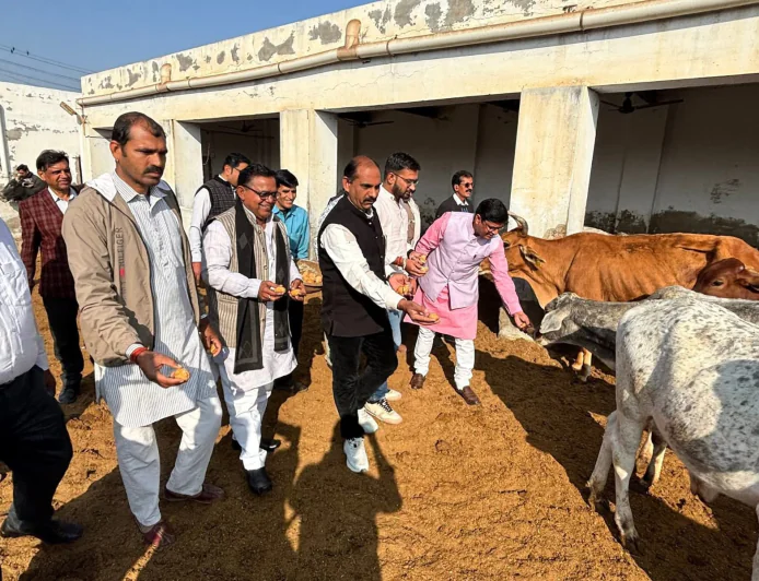 गौसेवा कर मुख्यमंत्री भजनलाल शर्मा का जन्मदिन मनाया,  प्रदेश मुखिया की दीर्घायु की कामना