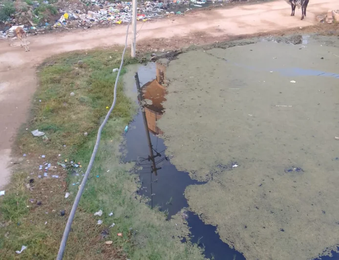 सरकारी दावों के बीच धौलपुर की जमीनी हकीकत बेपर्दा, रीको कॉलोनी में दो साल से सीवर ओवरफ्लो