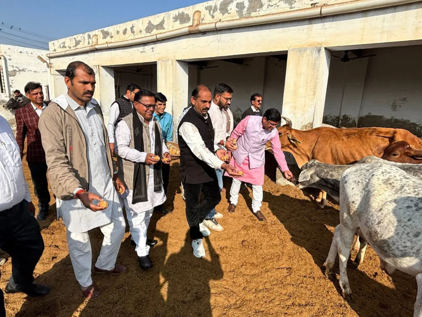 गौसेवा कर मुख्यमंत्री भजनलाल शर्मा का जन्मदिन मनाया,  प्रदेश मुखिया की दीर्घायु की कामना