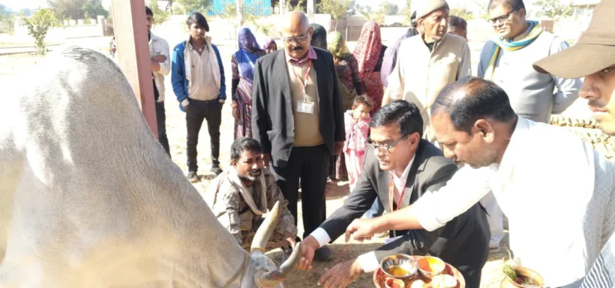गौ सेवा एवं पूजन कार्यक्रम किया आयोजित