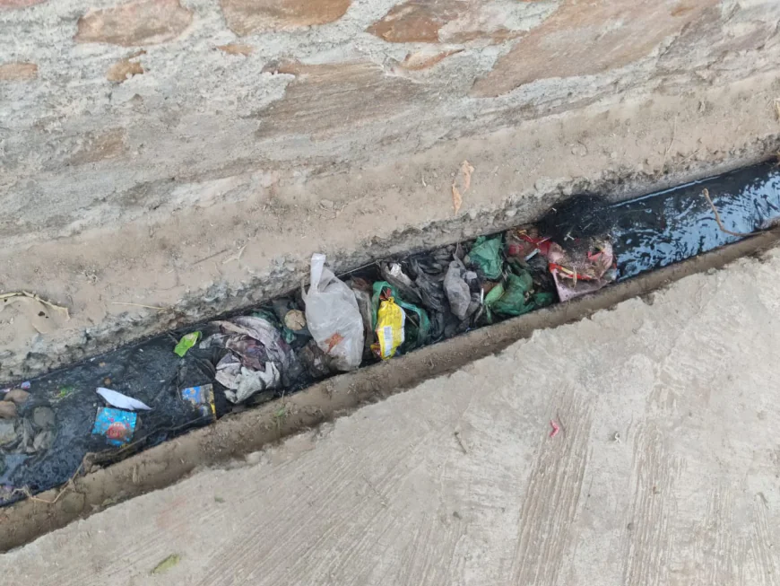 नगरपालिका की दिख रही लापरवाही नवलगढ़ में वार्ड की सफाई को लेकर दिखी खानापूर्ति 